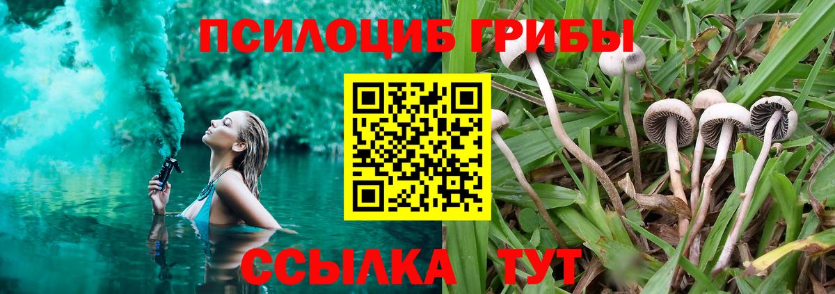 Галлюциногенные грибы Psilocybine cubensis  Вход с VPN  Городец 