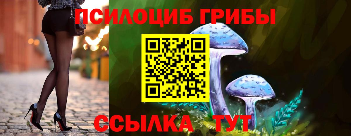Псилоцибиновые грибы ЛСД Городец